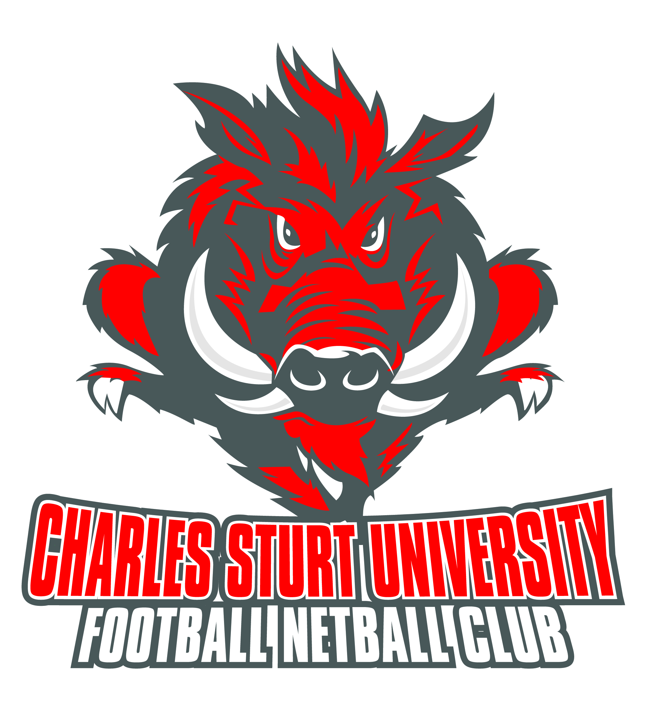 Australian Football and Netball Club Image